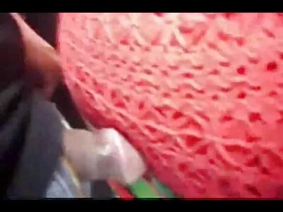 夫妇粗糙和硬弥补性